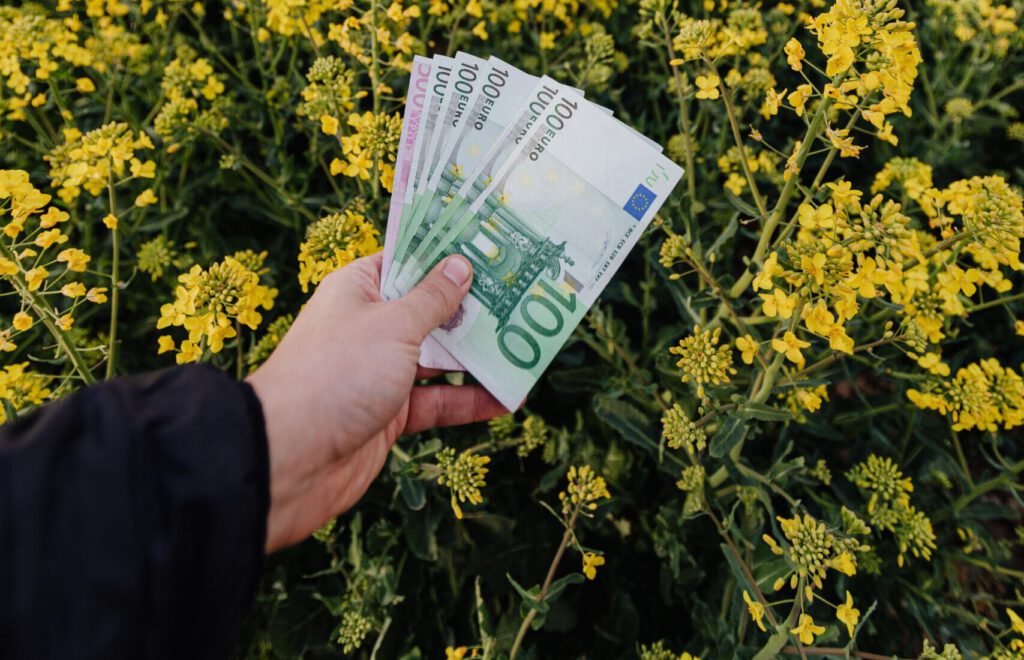 Finanzierung